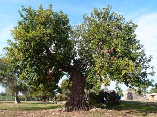 Ti raccontiamo la natura